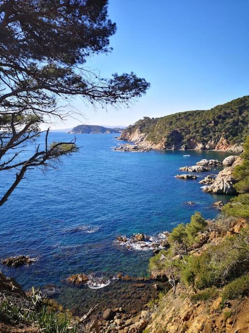 Apartamento Con Piscina L' Ancora Calella De Palafrugell Exterior foto